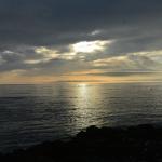 Cambria_0140 (November 04, 2017)